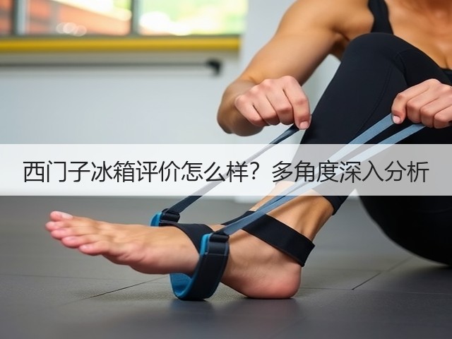 西门子冰箱评价怎么样？多角度深入分析(图1)