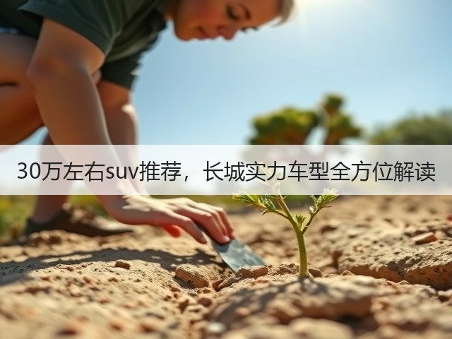 30万左右suv推荐,长城实力车型全方位解读(图1) 30万左右suv推荐,长城实力车型全方位解读(图1)