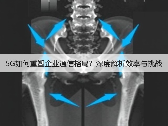 5G如何重塑企业通信格局?深度解析效率与挑战(图3) 5G如何重塑企业通信格局?深度解析效率与挑战(图3)