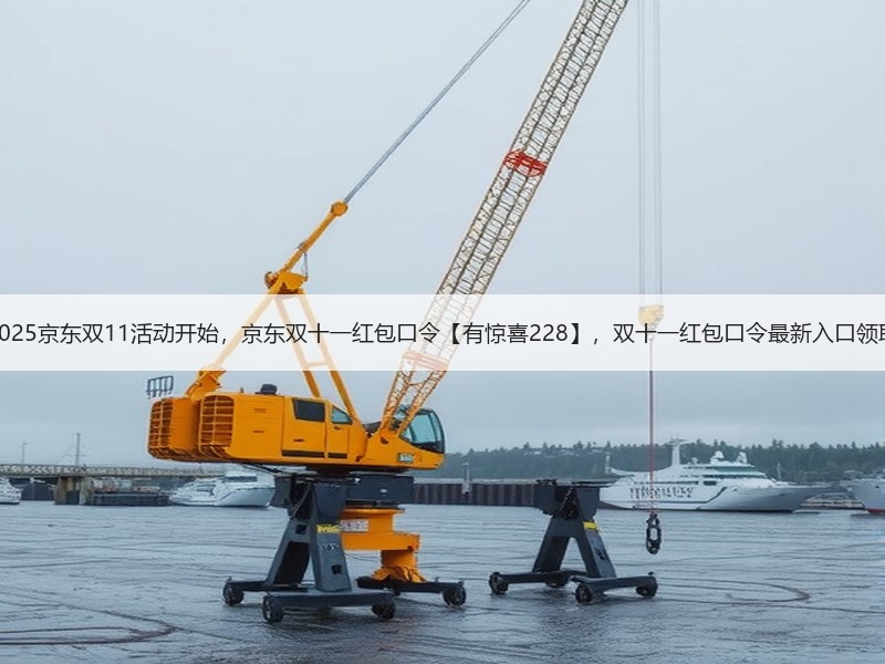 2025京东双11活动开始，京东双十一红包口令【有惊喜228