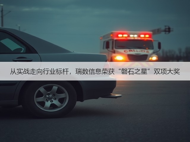 从实战走向行业标杆，瑞数信息荣获“磐石之星”双项大奖(图2)