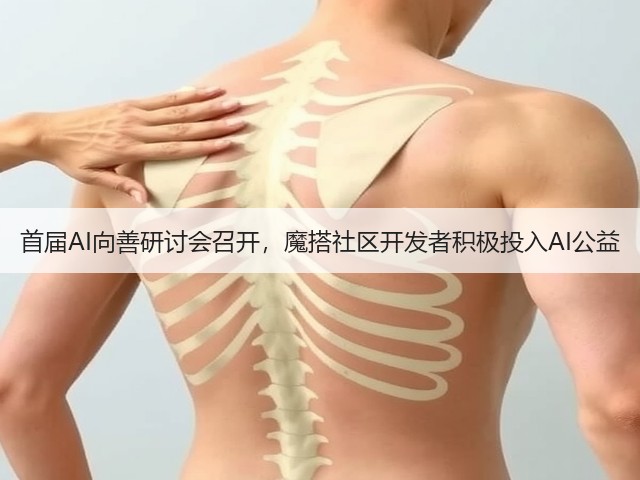 首届AI向善研讨会召开，魔搭社区开发者积极投入AI公益(图2)