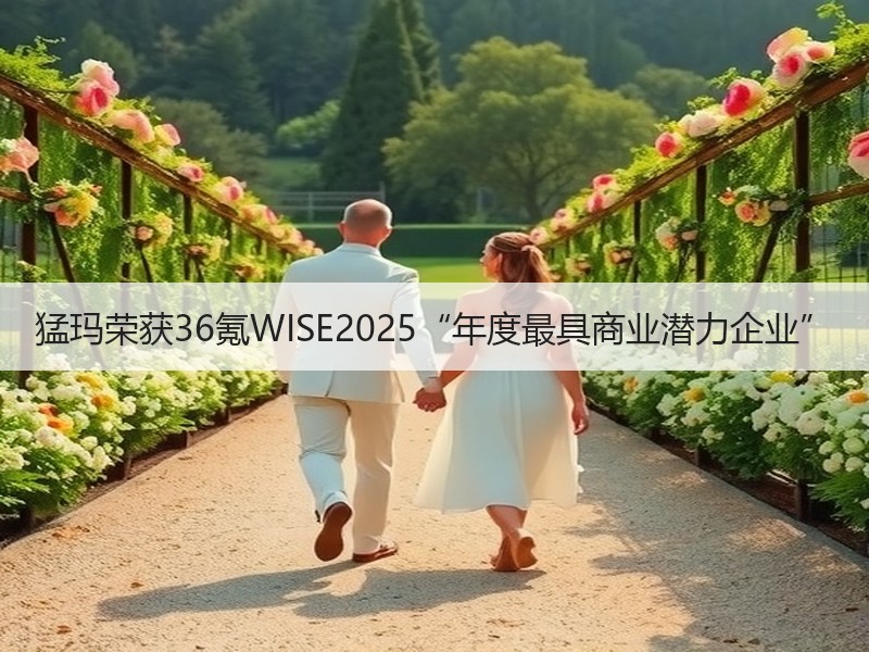 猛玛荣获36氪WISE2025“年度最具商业潜力企业”