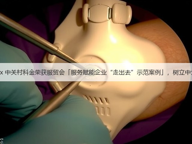 Imou乐橙 x 中关村科金荣获服贸会「服务赋能企业“走出去”示范案例」,树立中企出海典范(图3) Imou乐橙 x 中关村科金荣获服贸会「服务赋能企业“走出去”示范案例」,树立中企出海典范(图3)
