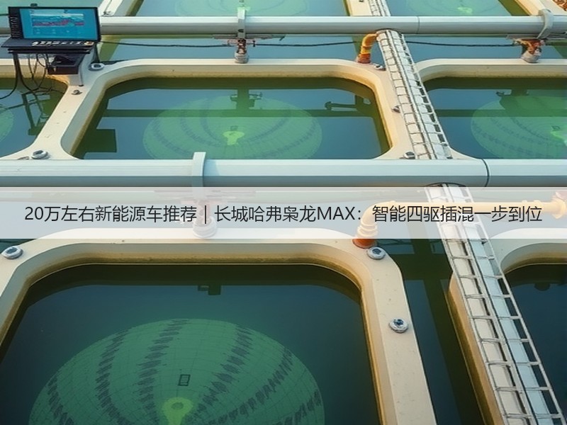 20万左右新能源车推荐｜长城哈弗枭龙MAX：智能四驱插混一步