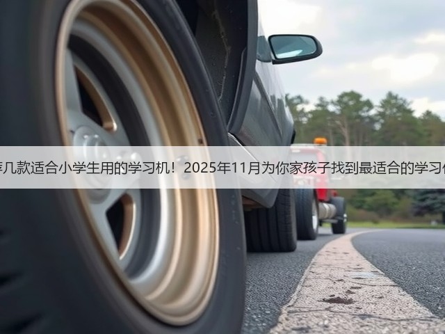 推荐几款适合小学生用的学习机！2025年11月为你家孩子找到最适合的学习伙伴(图3)