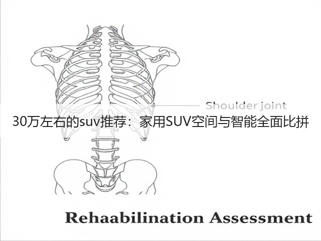 30万左右的suv推荐：家用SUV空间与智能全面比拼(图3)