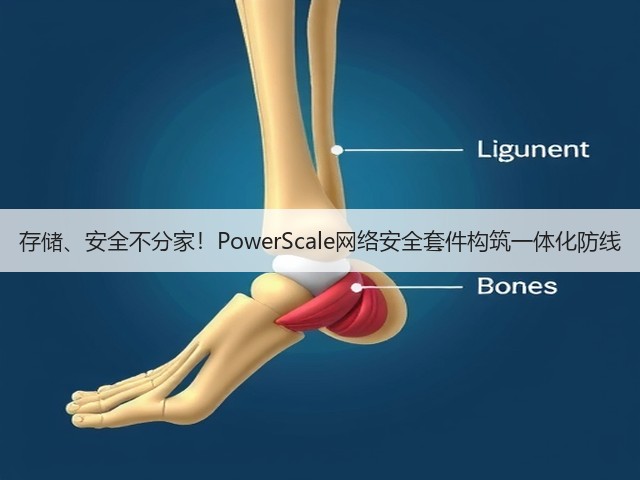 存储、安全不分家!PowerScale网络安全套件构筑一体化防线(图1) 存储、安全不分家!PowerScale网络安全套件构筑一体化防线(图1)