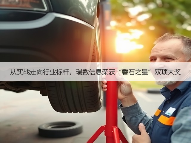 从实战走向行业标杆，瑞数信息荣获“磐石之星”双项大奖(图1)