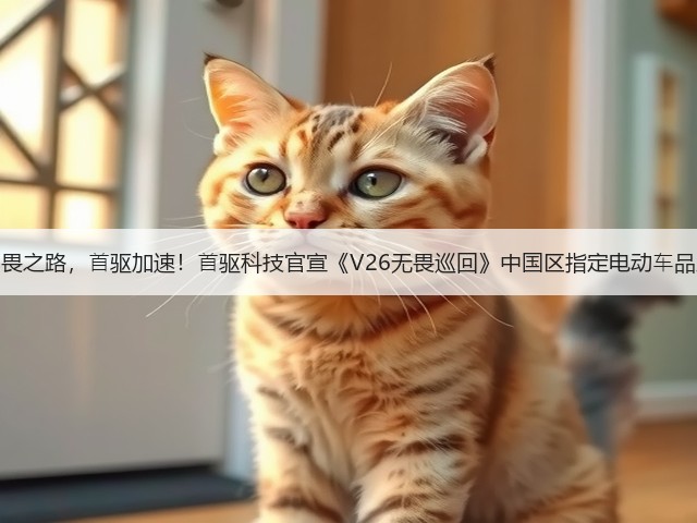 ⽆畏之路，⾸驱加速！⾸驱科技官宣《V26无畏巡回》中国区指定电动⻋品牌(图2)
