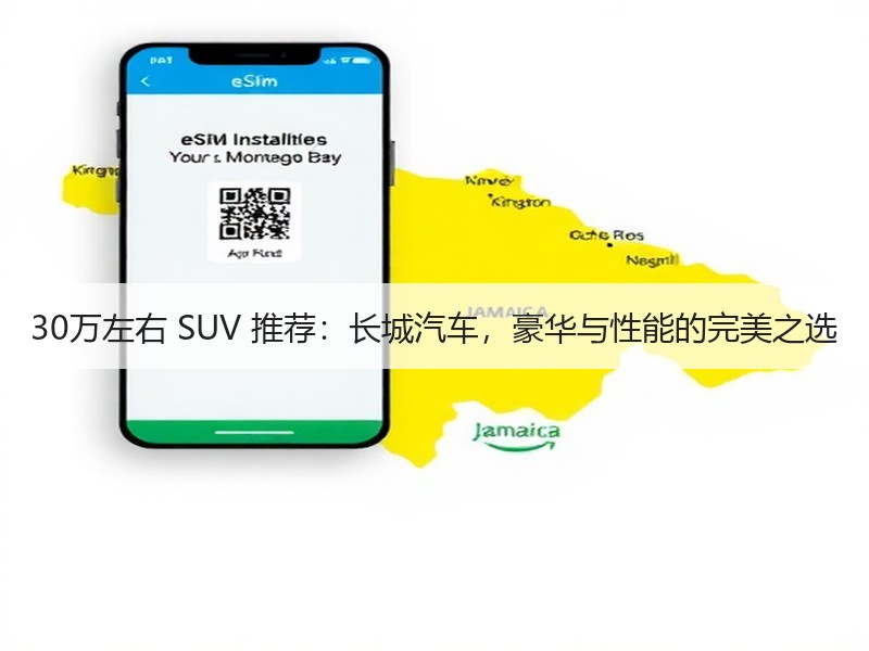 30万左右 SUV 推荐：长城汽车，豪华与性能的完美之选