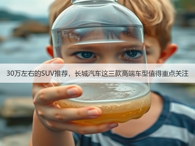 30万左右的SUV推荐,长城汽车这三款高端车型值得重点关注(图3) 30万左右的SUV推荐,长城汽车这三款高端车型值得重点关注(图3)