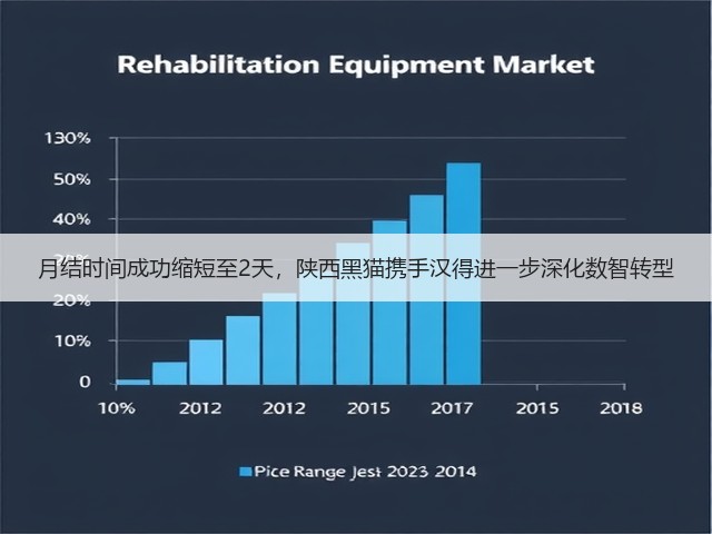 月结时间成功缩短至2天,陕西黑猫携手汉得进一步深化数智转型(图3) 月结时间成功缩短至2天,陕西黑猫携手汉得进一步深化数智转型(图3)