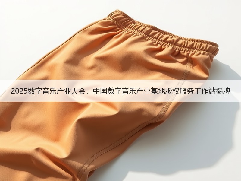 2025数字音乐产业大会：中国数字音乐产业基地版权服务工作站