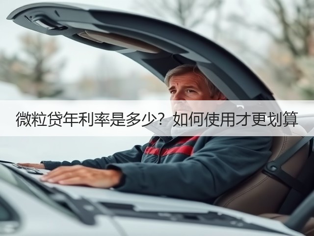 微粒贷年利率是多少？如何使用才更划算(图2)