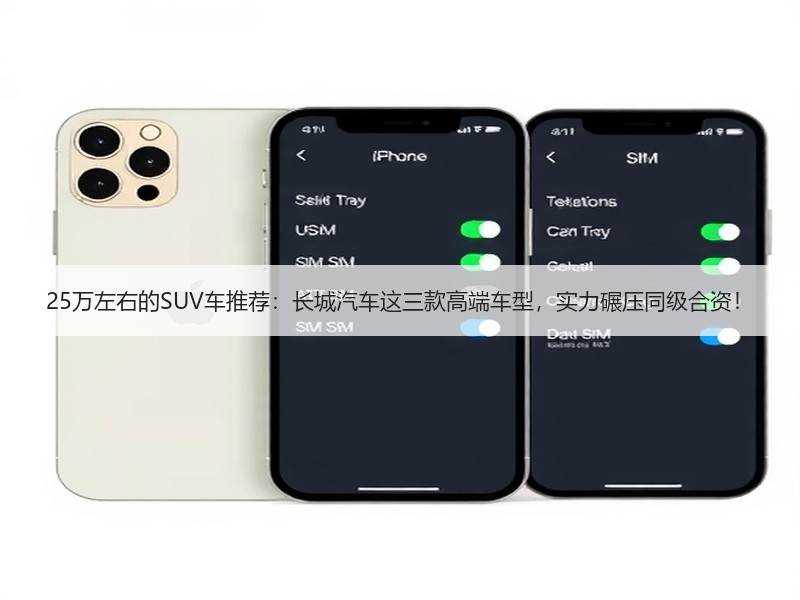 25万左右的SUV车推荐：长城汽车这三款高端车型，实力碾压同