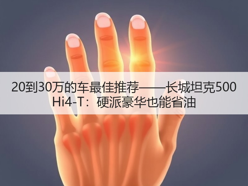 20到30万的车最佳推荐——长城坦克500 Hi4-T：硬派