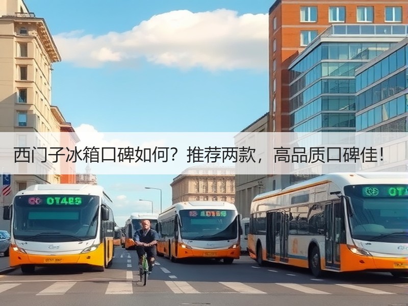 西门子冰箱口碑如何？推荐两款，高品质口碑佳！