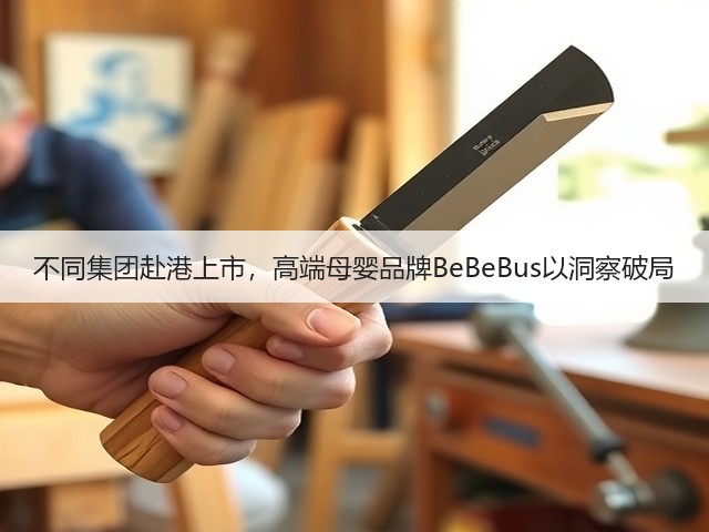 不同集团赴港上市,高端母婴品牌BeBeBus以洞察破局(图2) 不同集团赴港上市,高端母婴品牌BeBeBus以洞察破局(图2)