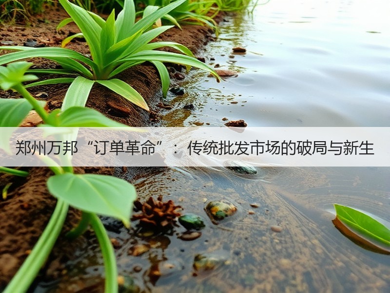 郑州万邦“订单革命”：传统批发市场的破局与新生