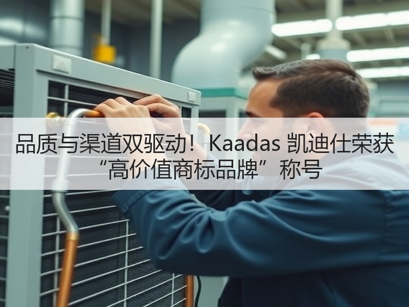 品质与渠道双驱动！Kaadas 凯迪仕荣获 “高价值商标品牌