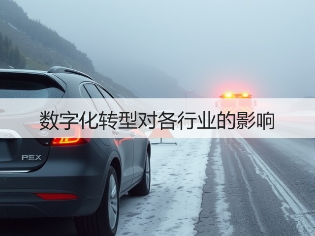数字化转型对各行业的影响(图1) 数字化转型对各行业的影响(图1)