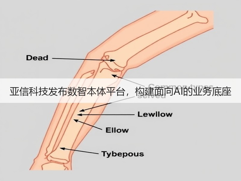 亚信科技发布数智本体平台，构建面向AI的业务底座