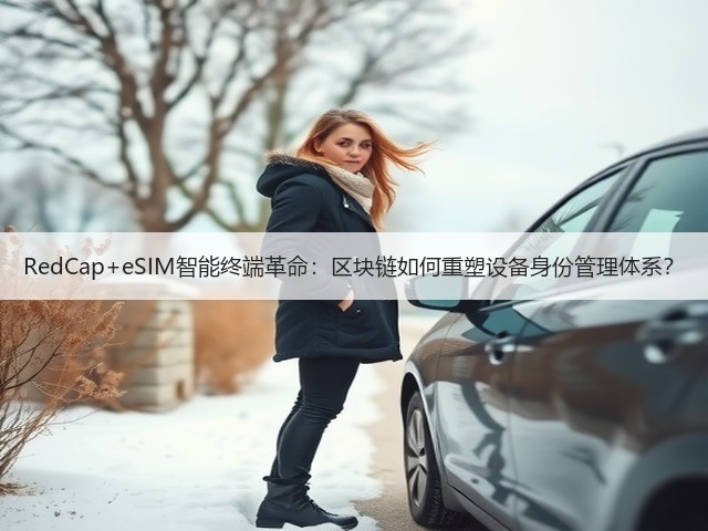 RedCap+eSIM智能终端革命：区块链如何重塑设备身份管理体系？(图2)