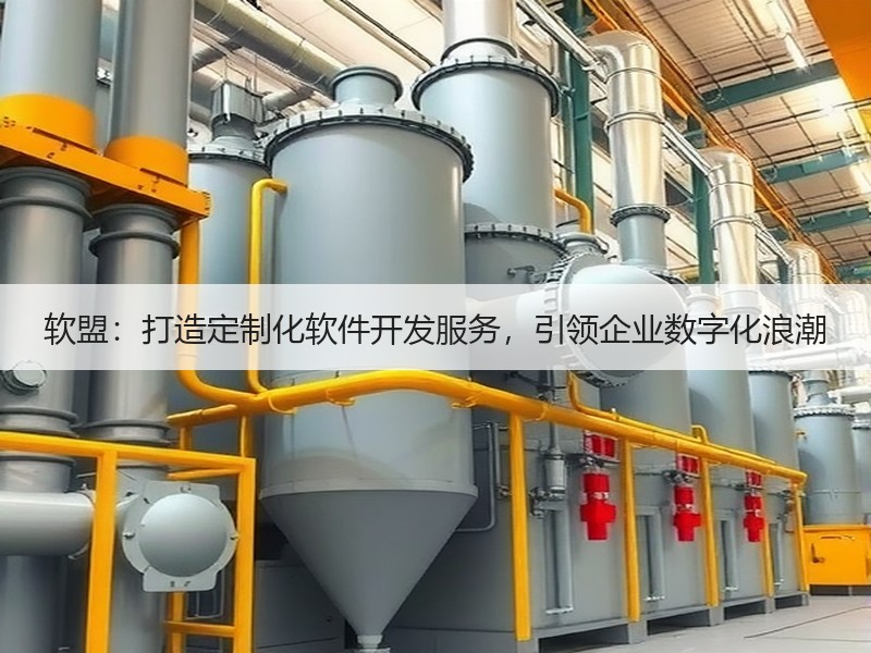 软盟：打造定制化软件开发服务，引领企业数字化浪潮