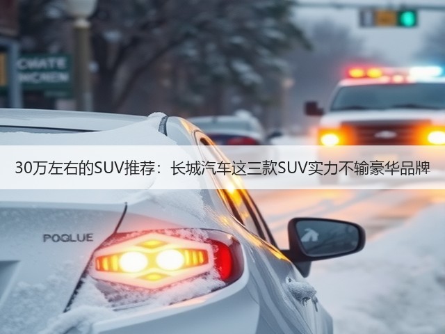 30万左右的SUV推荐:长城汽车这三款SUV实力不输豪华品牌(图1) 30万左右的SUV推荐:长城汽车这三款SUV实力不输豪华品牌(图1)