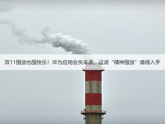 双11囤货也囤快乐！华为应用会员来袭，这波“精神囤货”值得入手(图1)