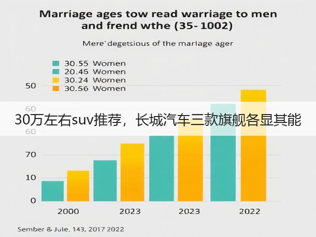 30万左右suv推荐，长城汽车三款旗舰各显其能(图3)