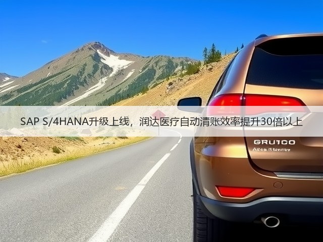 SAP S/4HANA升级上线,润达医疗自动清账效率提升30倍以上(图3) SAP S/4HANA升级上线,润达医疗自动清账效率提升30倍以上(图3)