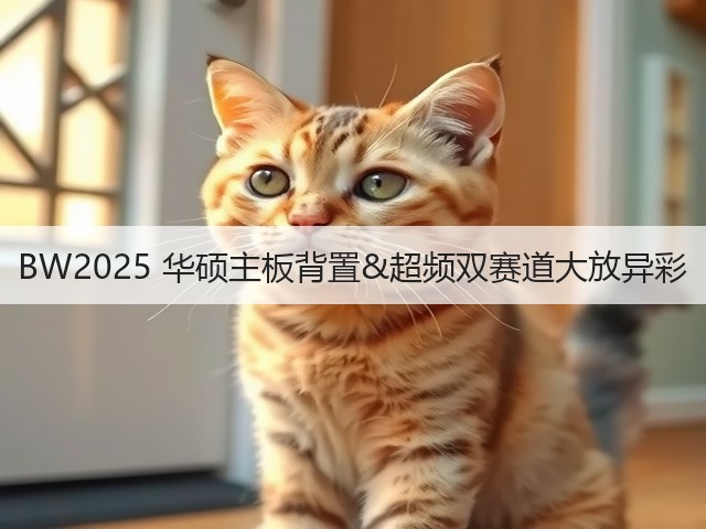 BW2025 华硕主板背置&超频双赛道大放异彩(图1)