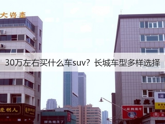 30万左右买什么车suv?长城车型多样选择(图2) 30万左右买什么车suv?长城车型多样选择(图2)