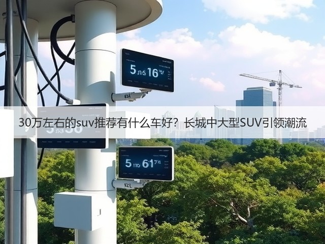 30万左右的suv推荐有什么车好？长城中大型SUV引领潮流(图2)