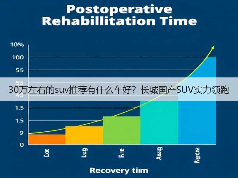 30万左右的suv推荐有什么车好？长城国产SUV实力领跑