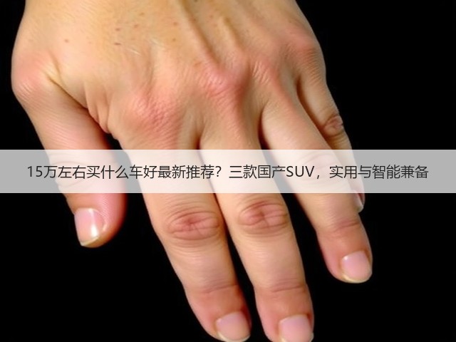 15万左右买什么车好最新推荐？三款国产SUV，实用与智能兼备(图1)