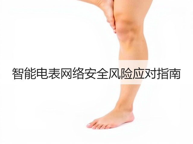 智能电表网络安全风险应对指南(图2)