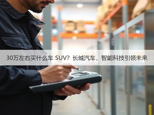 30万左右买什么车 SUV？长城汽车，智能科技引领未来(图1)