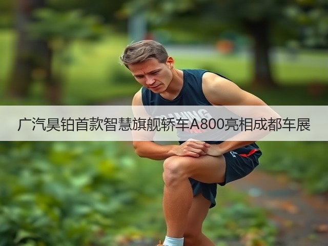 广汽昊铂首款智慧旗舰轿车A800亮相成都车展(图2) 广汽昊铂首款智慧旗舰轿车A800亮相成都车展(图2)
