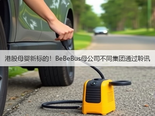 港股母婴新标的!BeBeBus母公司不同集团通过聆讯(图3) 港股母婴新标的!BeBeBus母公司不同集团通过聆讯(图3)