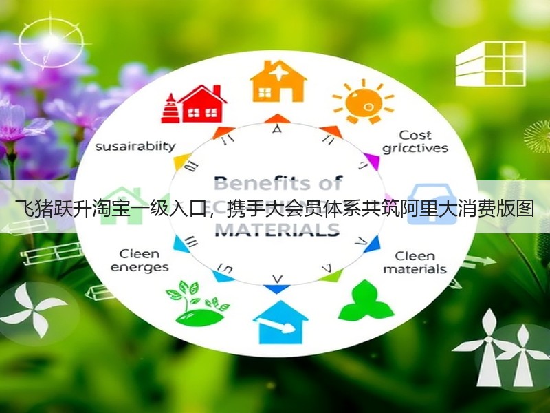 飞猪跃升淘宝一级入口，携手大会员体系共筑阿里大消费版图