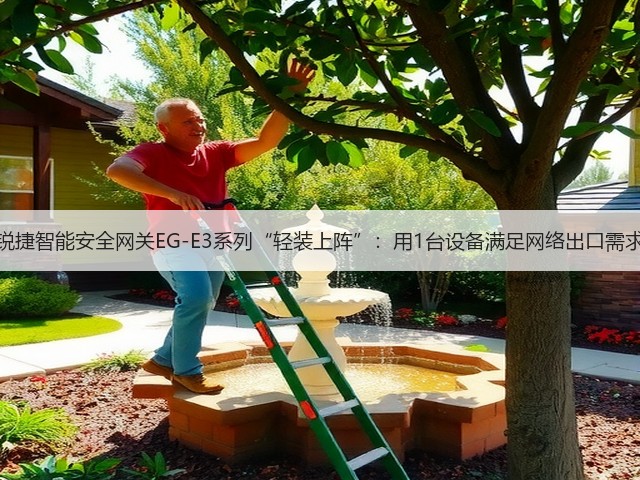 锐捷智能安全网关EG-E3系列“轻装上阵”：用1台设备满足网络出口需求(图3)