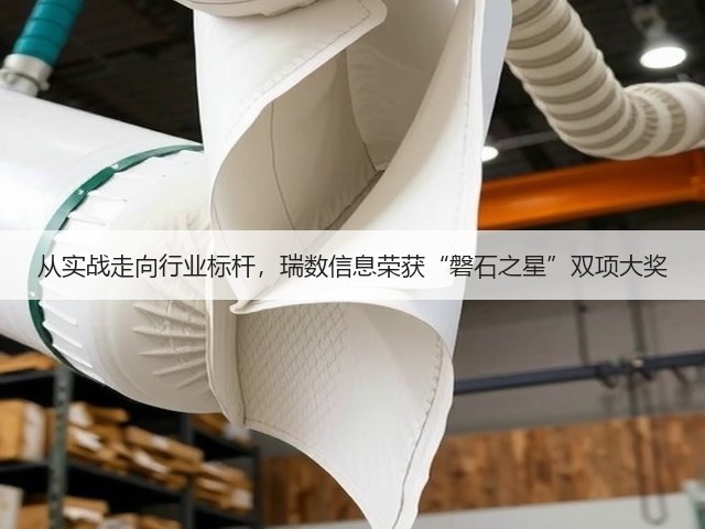 从实战走向行业标杆，瑞数信息荣获“磐石之星”双项大奖(图3)