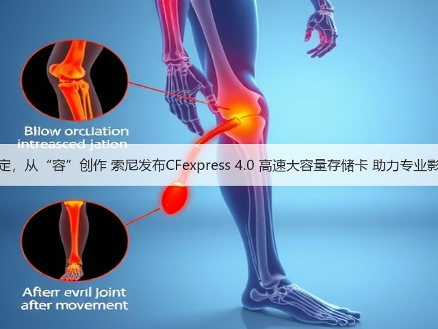 高速稳定,从“容”创作 索尼发布CFexpress 4.0 高速大容量存储卡 助力专业影像创作(图2) 高速稳定,从“容”创作 索尼发布CFexpress 4.0 高速大容量存储卡 助力专业影像创作(图2)
