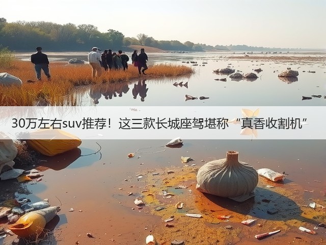 30万左右suv推荐!这三款长城座驾堪称“真香收割机”(图1) 30万左右suv推荐!这三款长城座驾堪称“真香收割机”(图1)