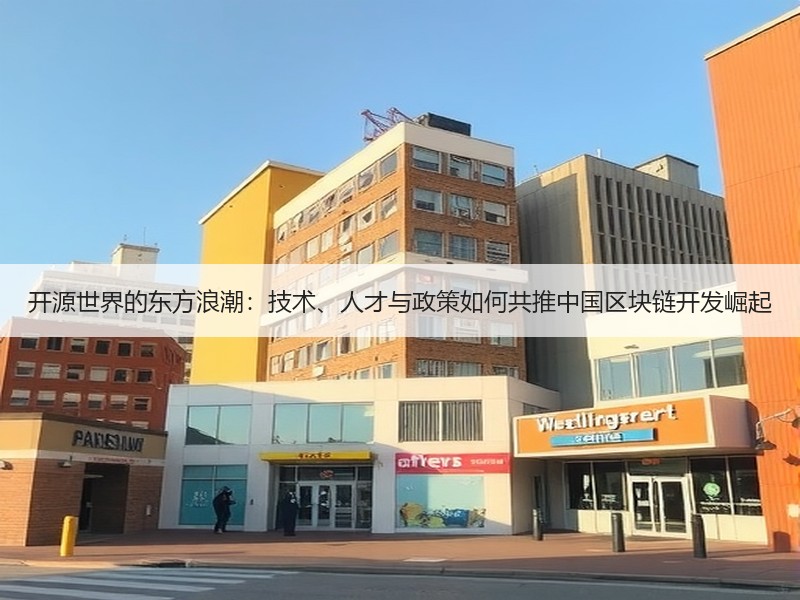 开源世界的东方浪潮：技术、人才与政策如何共推中国区块链开发崛