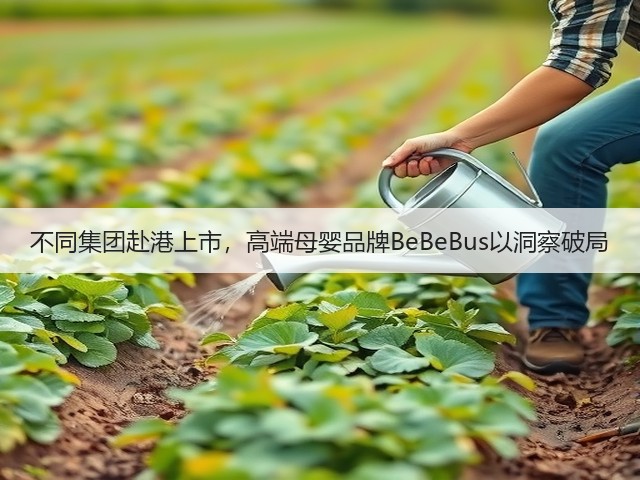 不同集团赴港上市,高端母婴品牌BeBeBus以洞察破局(图3) 不同集团赴港上市,高端母婴品牌BeBeBus以洞察破局(图3)