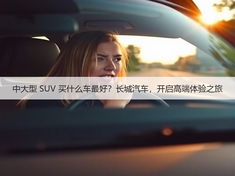 中大型 SUV 买什么车最好？长城汽车，开启高端体验之旅